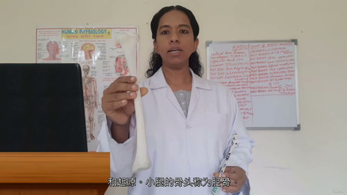 [中字] 上肢骨骼解剖课程（第三部分）（中文字幕英文视频教程