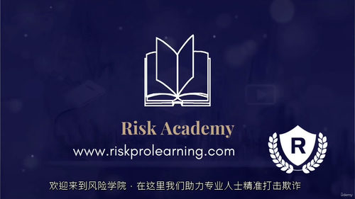 [中字]欺诈分析：数据驱动的风险缓解解决方案（中文字幕英文视