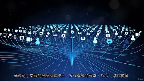 [中字]欺诈分析：数据驱动的风险缓解解决方案（中文字幕英文视