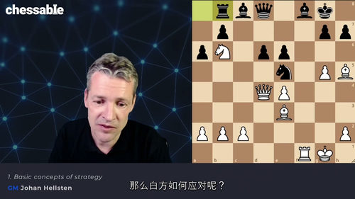 [中字] 精通国际象棋战略 - 特级大师约翰・赫尔斯滕（中文