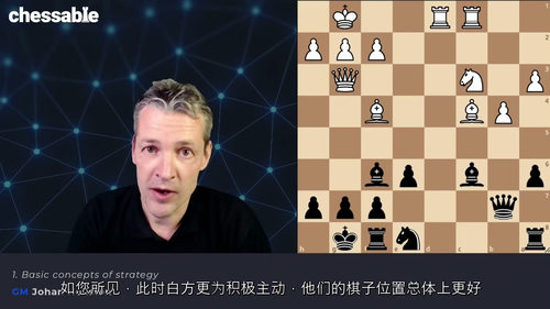 [中字] 精通国际象棋战略 - 特级大师约翰・赫尔斯滕（中文