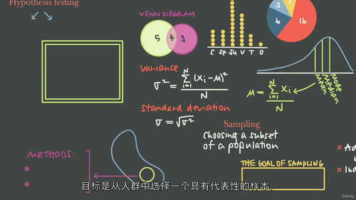 [中字]概率与统计大师养成课（中文字幕英文视频教程）