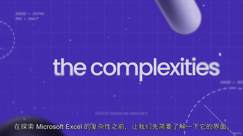 [中字]Excel 审计与舞弊检查实战指南（中文字幕英文视频