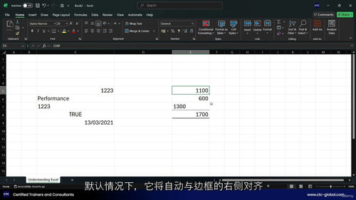 [中字]Excel 审计与舞弊检查实战指南（中文字幕英文视频