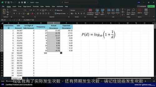 [中字]Excel 审计与舞弊检查实战指南（中文字幕英文视频