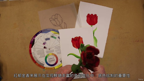 [中字]水彩自信绘：红郁金香专题课（中文字幕英文视频教程）