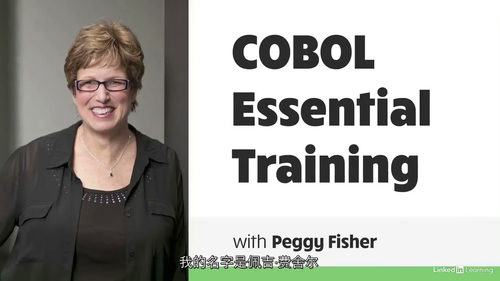 [中字]COBOL 核心技能实战教程（中文字幕英文视频教程）