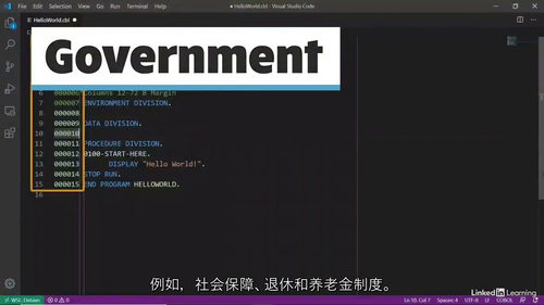 [中字]COBOL 核心技能实战教程（中文字幕英文视频教程）