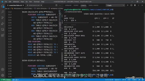 [中字]COBOL 核心技能实战教程（中文字幕英文视频教程）