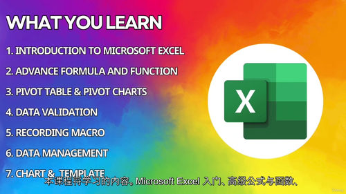 Excel 高级公式、函数与 VBA 宏精通课程​（中文字幕
