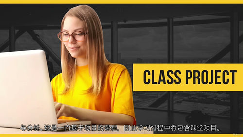 Excel 高级公式、函数与 VBA 宏精通课程​（中文字幕