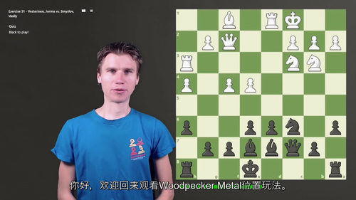 [中字]《 国际象棋啄木鸟训练法 2： positional