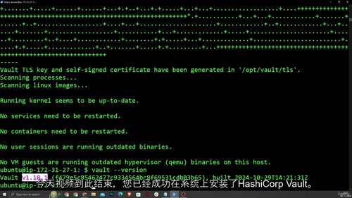 [中字]HashiCorp Vault 精通之路：密钥管理核