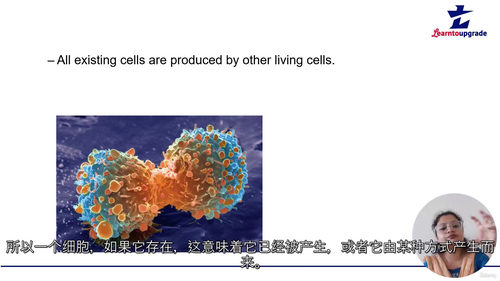 细胞结构与功能视频课