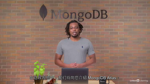 [中字]MongoDB Python 开发者认证备考课程（中