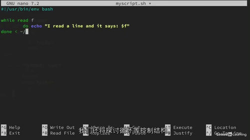 [中字]精通 Bash 脚本编程（2025 版）（中文字幕英