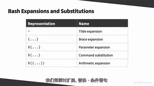 [中字]精通 Bash 脚本编程（2025 版）（中文字幕英