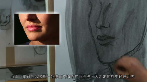 [中字]面部特征绘画精解课程（中文字幕英文视频教程）