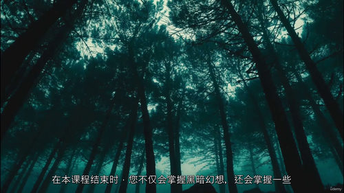 黑暗幻梦:新手也能驾驭的暗黑小说创作指南(中文字幕英文视频教