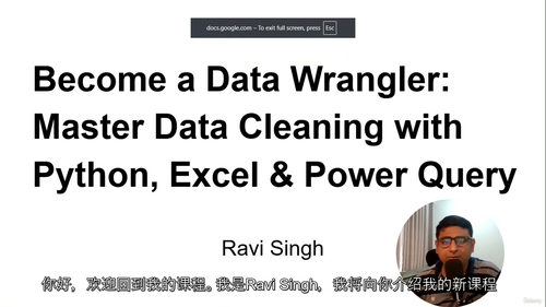 数据清洗大师：Python、Excel 与 Power Qu