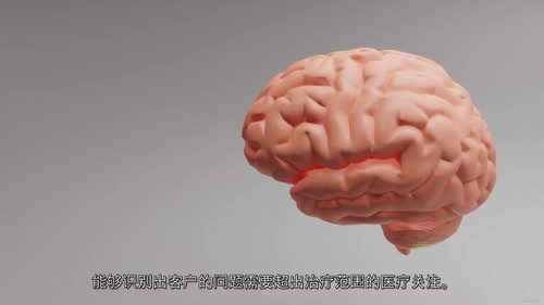筋膜枪理疗系统课程（中英双语）