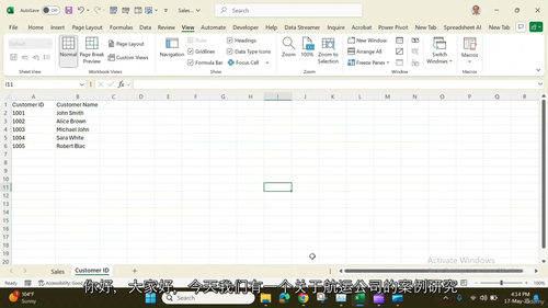 [中字]高级 Excel 实战：从数据处理到深度分析 -Po
