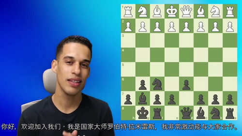 国际象棋新手实战棋路指南