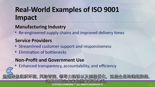 终极 ISO 9001 - 2015 质量管理体系实施大师课