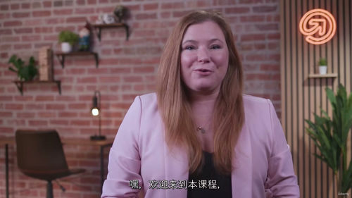 客户服务情商管理——筑牢稳固服务关系（中文字英文视频教程）