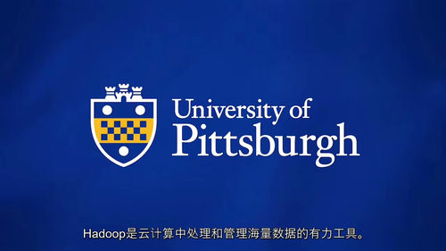 数据科学云计算专项进阶教程（英文视频中文外挂字幕教程）
