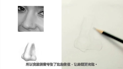 石墨笔写实鼻子绘画教程