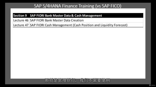 SAP S/4HANA 财务实战教程