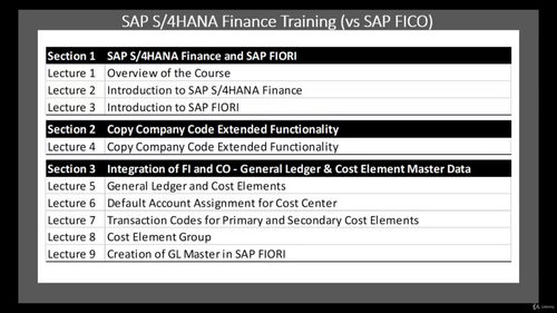 SAP S/4HANA 财务实战教程