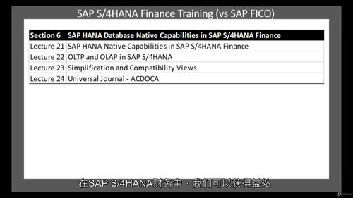 SAP S/4HANA 财务实战教程
