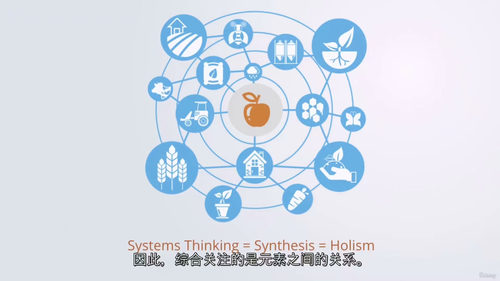 系统思维简明教程 (中文字幕英文视频教程)