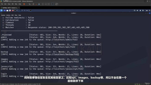 FFUF实用指南：Web安全测试的核心利器 (英文课程中文字幕)