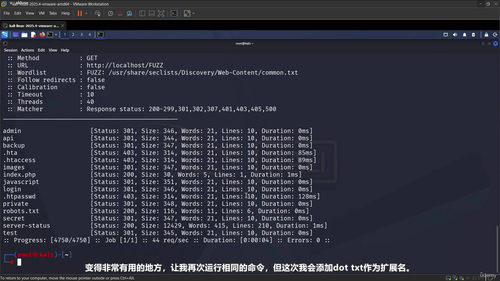 FFUF实用指南：Web安全测试的核心利器 (英文课程中文字幕)