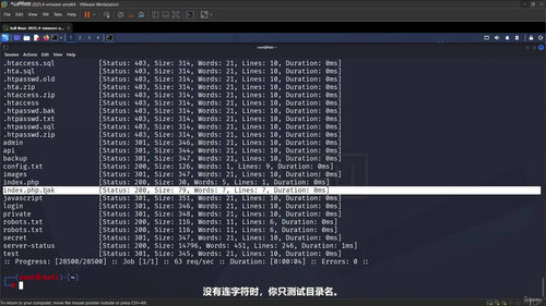 FFUF实用指南：Web安全测试的核心利器 (英文课程中文字幕)