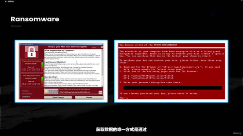 网络安全意识培训：数字时代的职场必修课 (英文课程中文字幕)