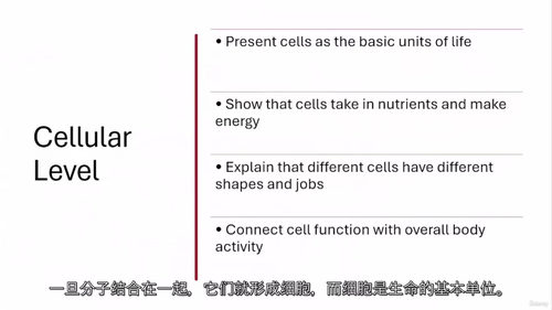 人体生理学视频教程（中文字幕）