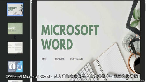 Microsoft Word 从入门到精通：全面掌握文档处理