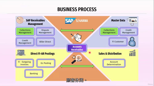 SAP FSCM应收款实操教程
