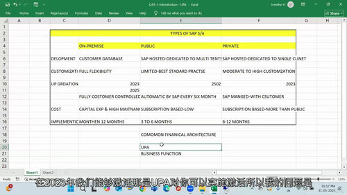 SAP S4 UPA成本核算教程