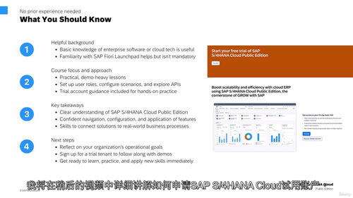 SAP S/4HANA Cloud 零基