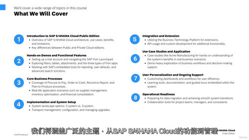 SAP S/4HANA Cloud 零基