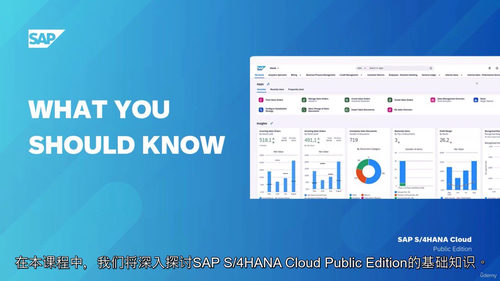 SAP S/4HANA Cloud 零基