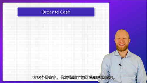 SAP入门中文字幕视频教程