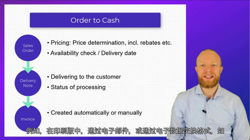 SAP入门中文字幕视频教程