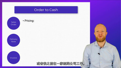 SAP入门中文字幕视频教程
