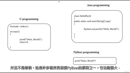 30 天精通 Python 编程